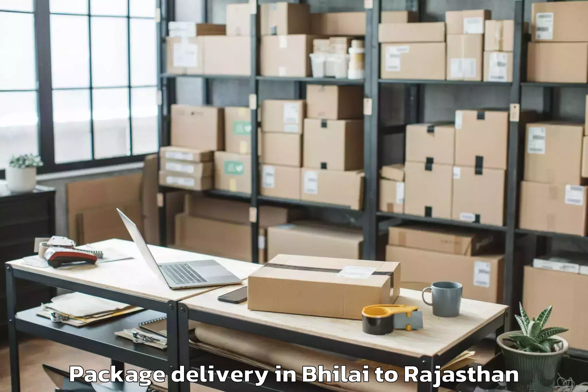 Book Bhilai to Raj Rishi Bharthari Matsya Uni Package Delivery Online